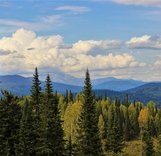 Регламент "Tigertish Race 2019"