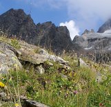 Чемпионат ПриФО 2019, класс ВТ. Предварительные результаты.