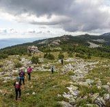 Подведены итоги Кубка России 2017 года