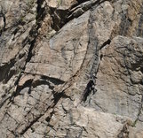 Завершился 3 этап Кубка России в скальном классе