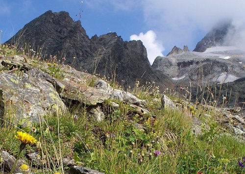 Чемпионат ПриФО 2019, класс ВТ. Предварительные результаты.